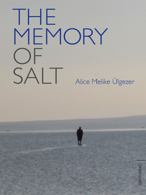 Cover image for The Memory of Salt